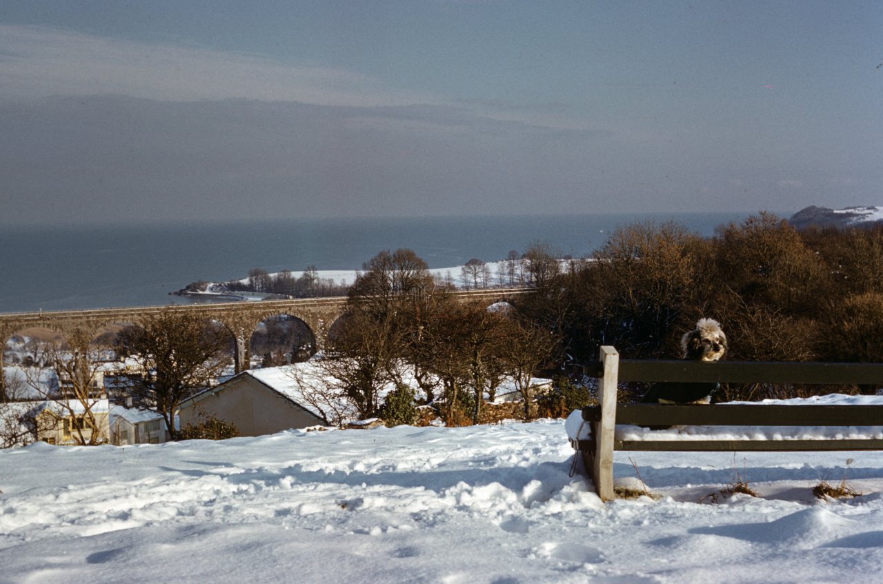 199 View from Churston Xmas 1962-s